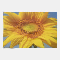 Yellow Sunflower