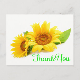 Yellow Sunflower Thank You Green Wedding Flowers Postcard
