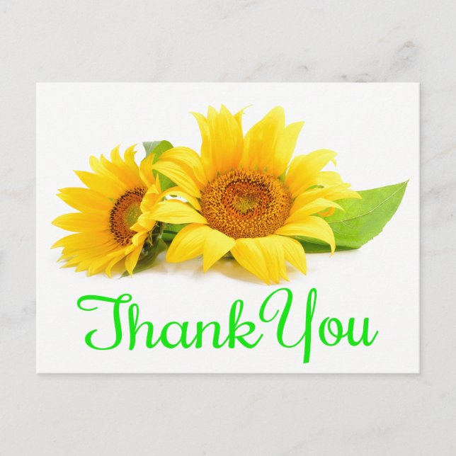 Yellow Sunflower Thank You Green Wedding Flowers Postcard (Front)