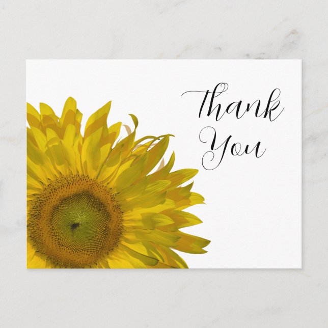 Yellow Sunflower Thank You Postcard (Front)