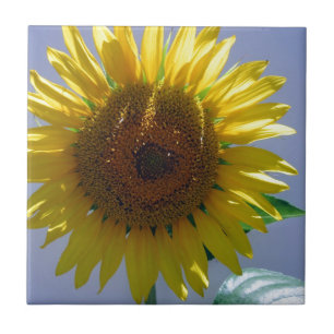 Yellow Sunflower Tile