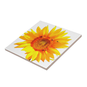 Yellow Sunflower Tile