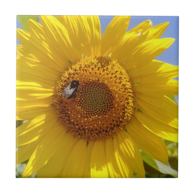 Yellow Sunflower Tile (Front)