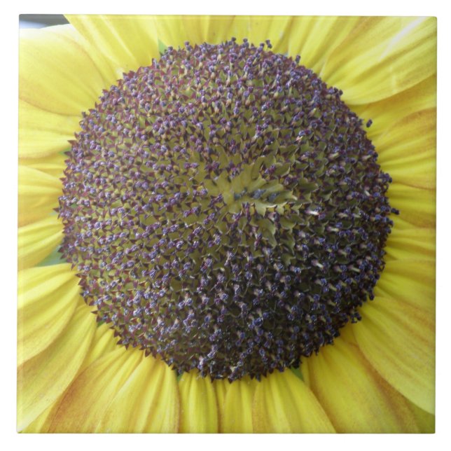 Yellow Sunflower Tile (Front)