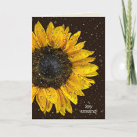 yellow sunflower with water droplets on glass