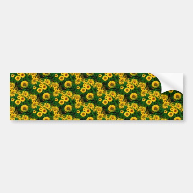 yellow sunflowers bumper sticker (Front)