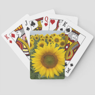 Yellow Sunflowers Floral Country Harvest Playing Cards