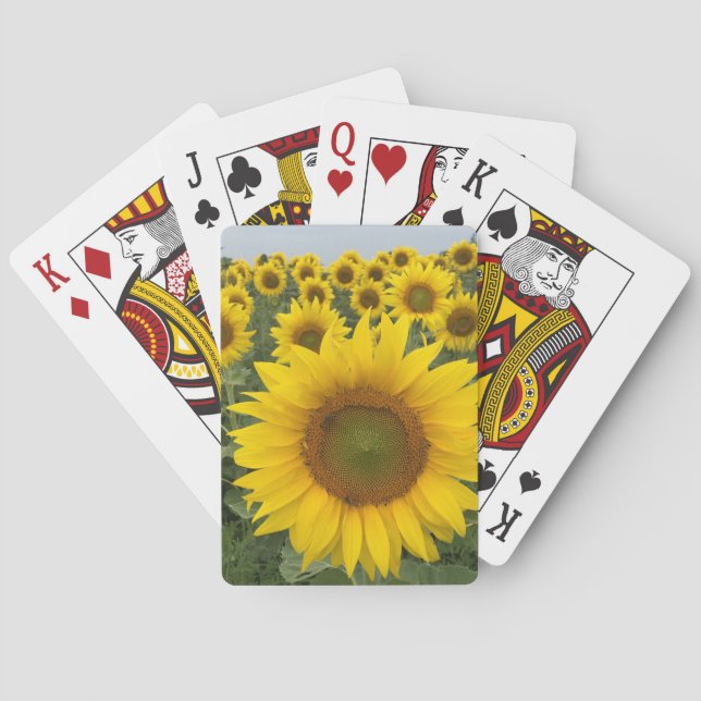 Yellow Sunflowers Floral Country Harvest Playing Cards (Back)