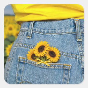Yellow Sunflowers in Blue Jean Pocket Square Sticker