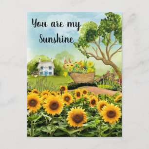 Yellow Sunflowers Landscape  Postcard