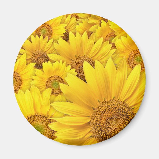 Yellow Sunflowers Magnet (Front)
