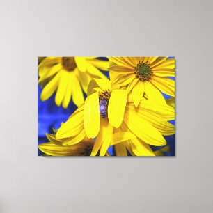 Yellow Sunflowers N Blue Bee Wrapped Canvas Print