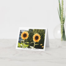 Yellow Sunflowers Personalised Note Card