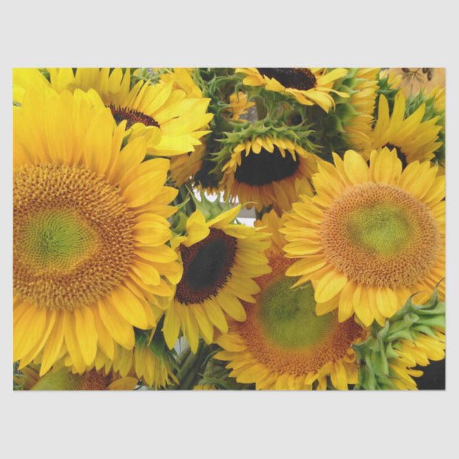 Yellow Sunflowers Summer Tissue Paper Wrap (Front)