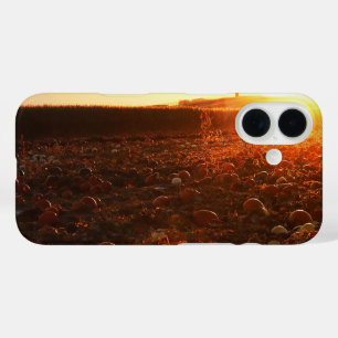 Yellow Sunset Pumpkin Patch iPhone 16 Case
