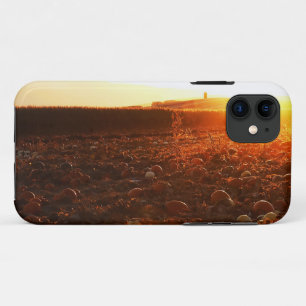 Yellow Sunset Pumpkin Patch iPhone 11 Case