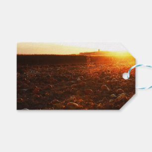 Yellow Sunset Pumpkin Patch Gift Tags