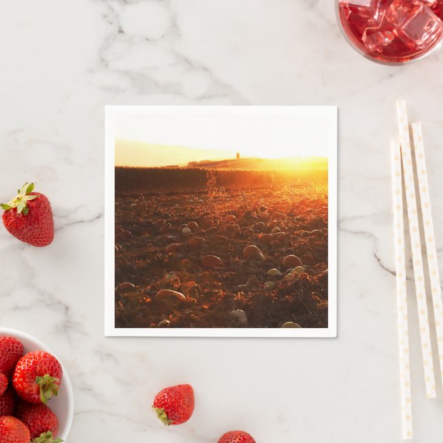Yellow Sunset Pumpkin Patch  Napkin (Insitu)