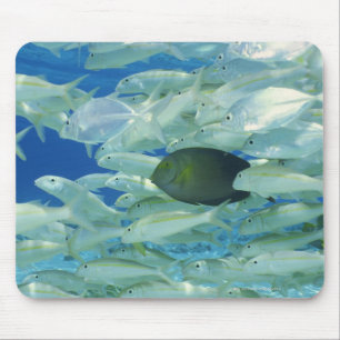 Yellow surgeon fish with yellow stripe goldfish mouse mat