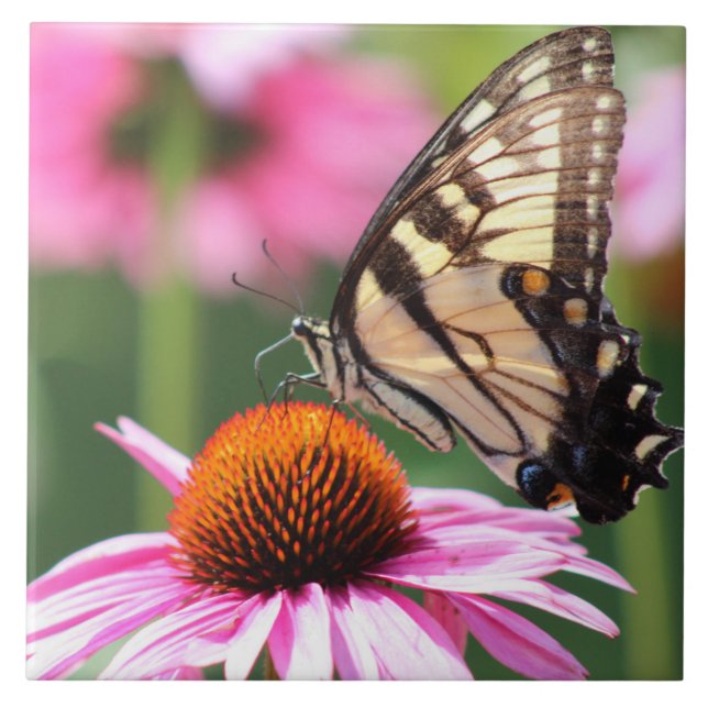 Yellow Swallowtail Butterfly Ceramic Tile (Front)