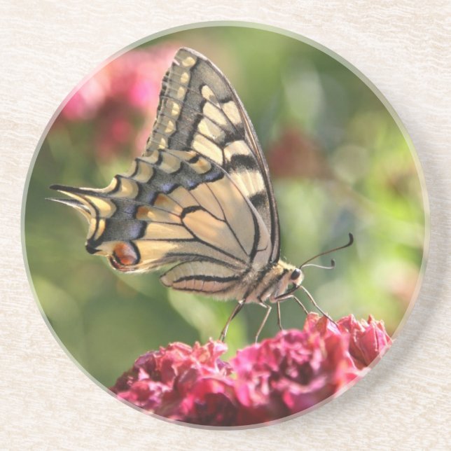 Yellow Swallowtail Butterfly Coaster (Front)