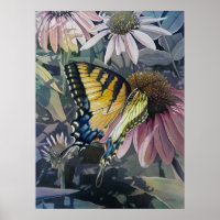 Yellow Swallowtail Butterfly Coneflower Art 18x24