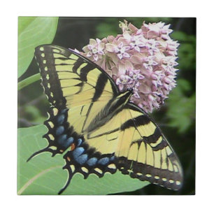 Yellow Swallowtail Butterfly Decorative Tile