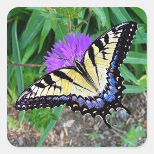 Yellow Swallowtail Butterfly Gift Sticker