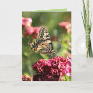Yellow Swallowtail Butterfly Greeting Card