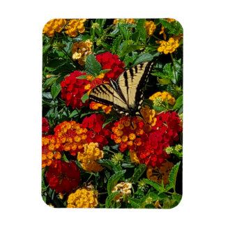 yellow swallowtail butterfly orange & red flowers magnet