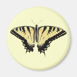 Yellow Swallowtail ~ magnet