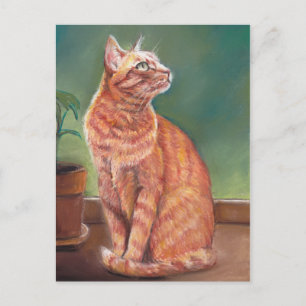 Yellow Tabby Cat Pastel Art Postcard