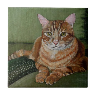 Yellow Tabby Tile