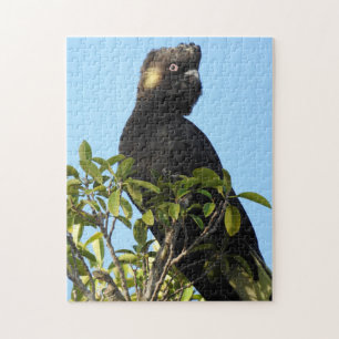 Yellow-tailed Black Cockatoo Jigsaw Puzzle