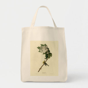 Yellow-throated Vireo, Audubon Birds of America Tote Bag