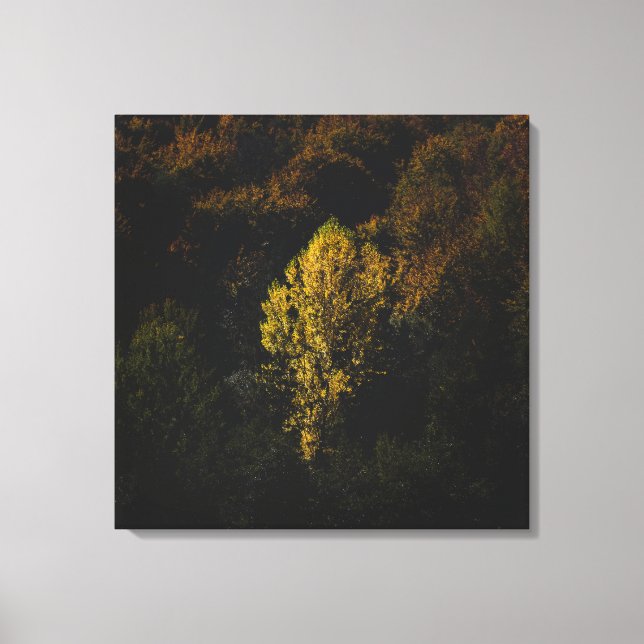 Yellow tree standing out from the crowd canvas print (Front)