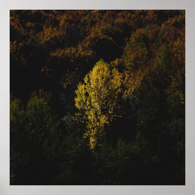 Yellow tree standing out from the crowd poster (Front)