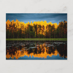 Yellow trees by a Lake Postcard