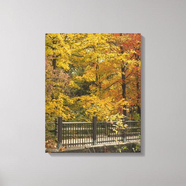 Yellow Trees Of Autumn Canvas Print (Front)