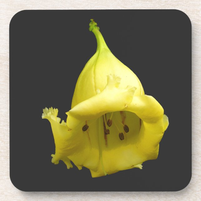 Yellow Tropical Blossom Coaster (Front)