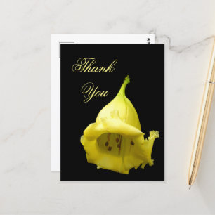 Yellow Tropical Blossom Postcard