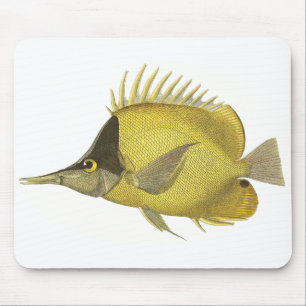 Yellow Tropical Chelmon Longirostris, Vintage Fish Mouse Mat