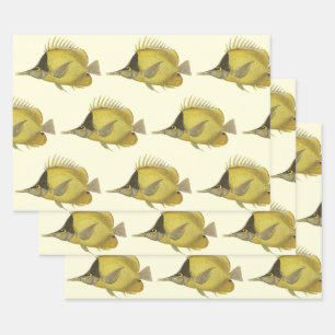 Yellow Tropical Chelmon Longirostris, Vintage Fish Wrapping Paper Sheet