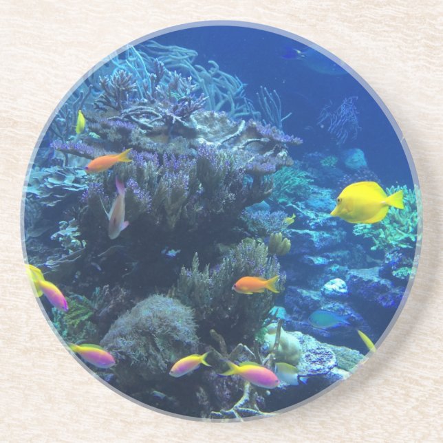 Yellow Tropical Fish Coaster (Front)