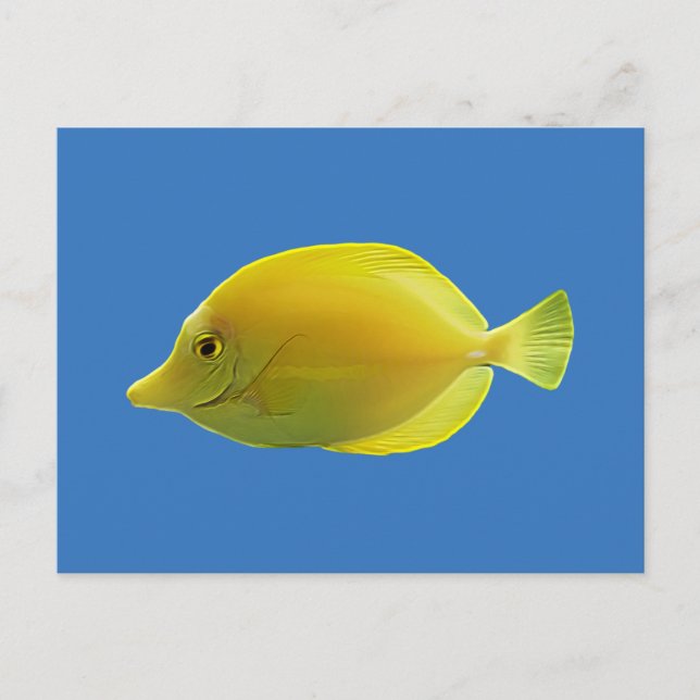 Yellow Tropical Fish Postcard (Front)