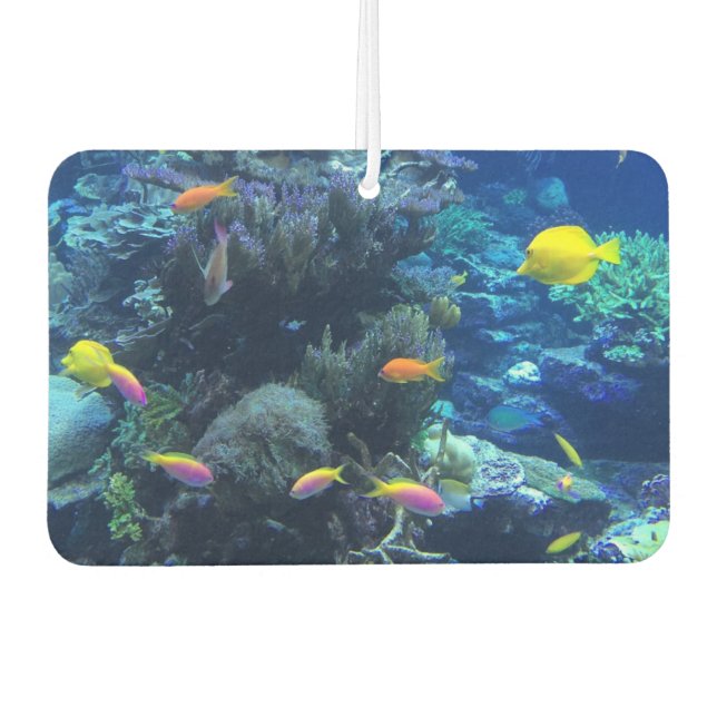 Yellow Tropical Fish Underwater Photo Car Air Freshener (Front)