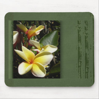Yellow tropical plumeria flower mouse mat