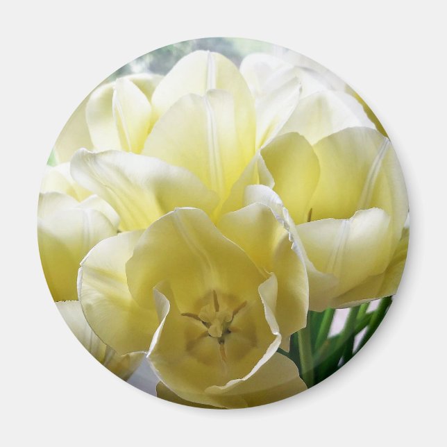 Yellow Tulip Bouquet Magnet (Front)
