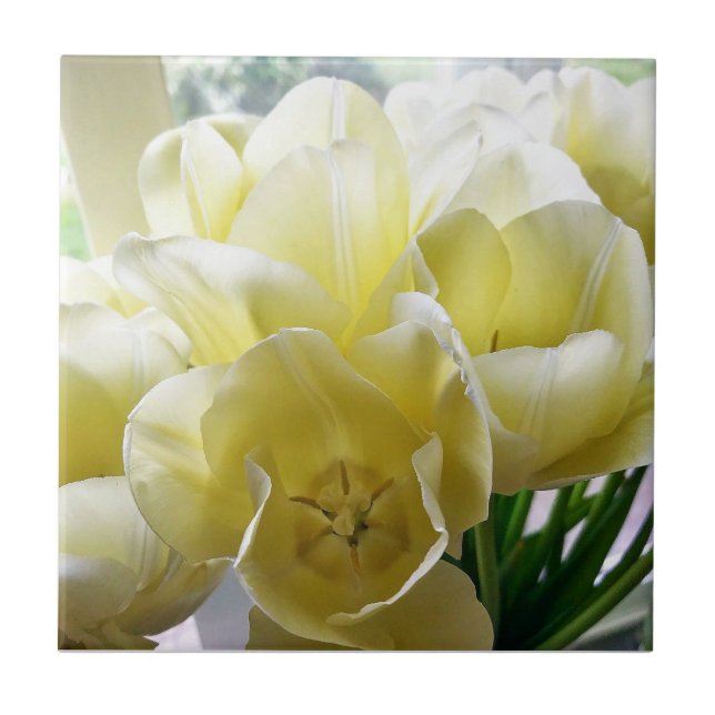 Yellow Tulip Bouquet Tile (Front)