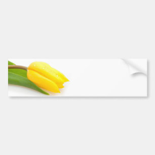 Yellow Tulip Bumper Sticker